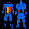 Exercice de Fitness