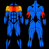 Programme de Body Fitness