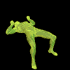 Programme de Body Fitness