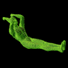 Exercice de Fitness