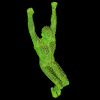 Exercice de Fitness