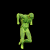 Exercice de Fitness