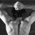 Programme de Body Fitness