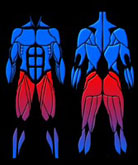Echauffements fitness