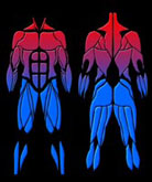 Echauffements fitness